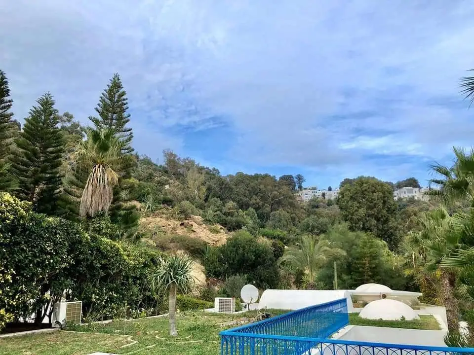img-property