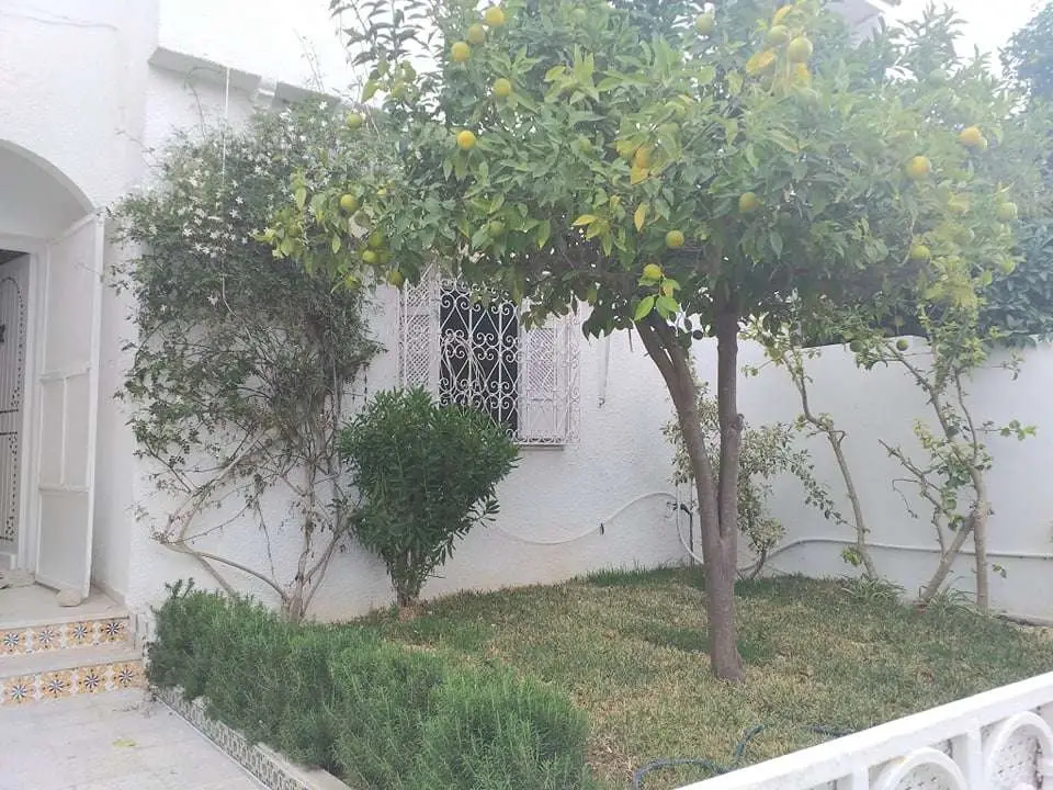 img-property