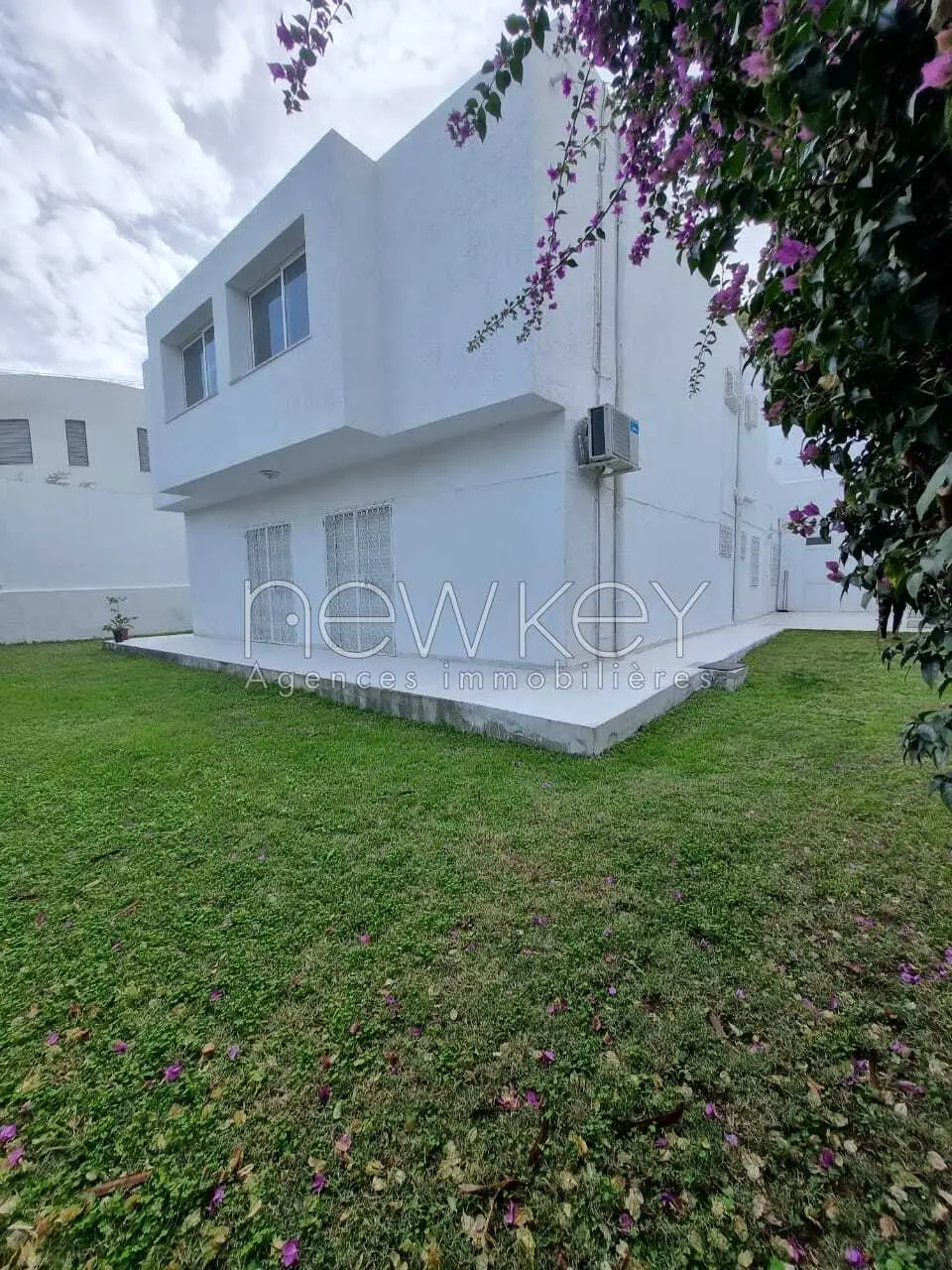 img-property