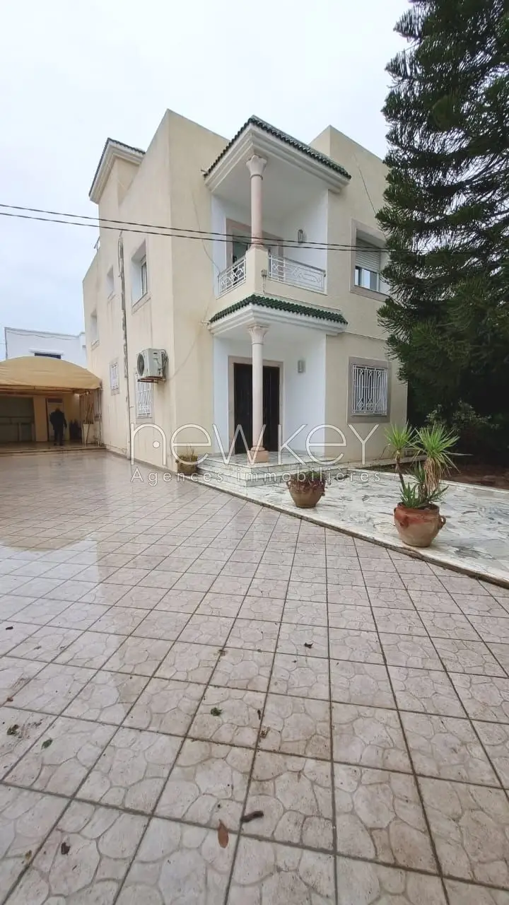 img-property