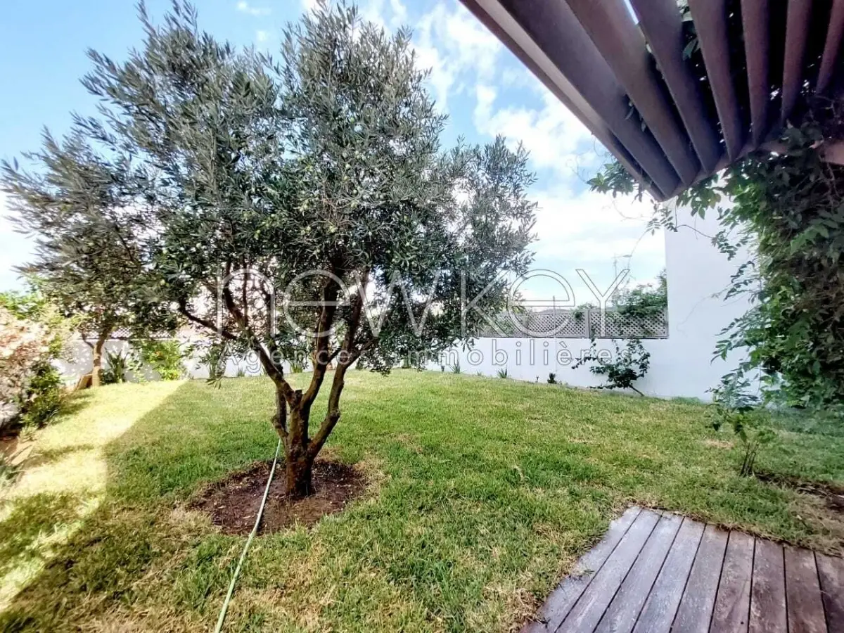 img-property