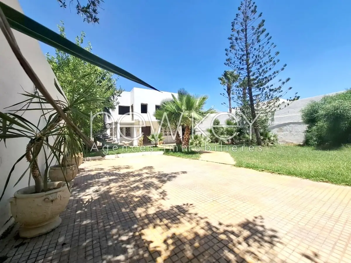 img-property