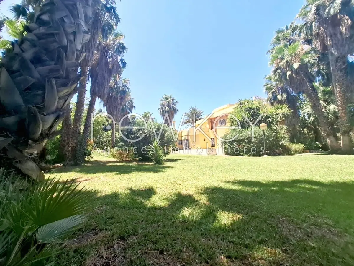 img-property