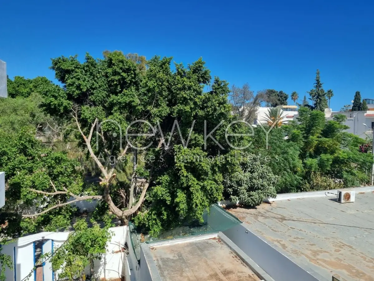 img-property