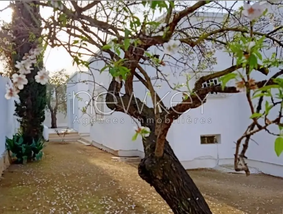 Villa Plaind pied à Sidi Bousaid