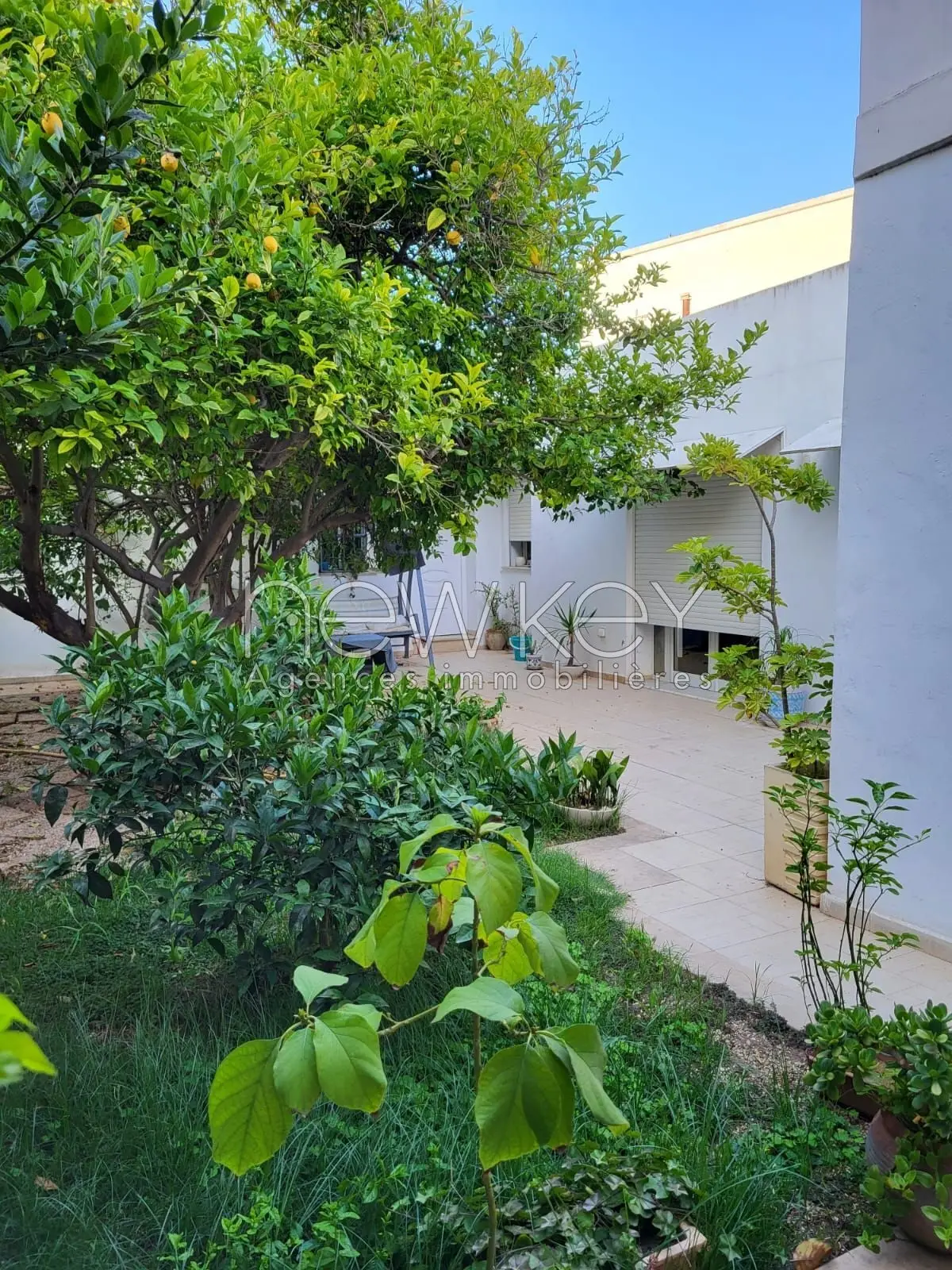 Villa à vendre à Salambo