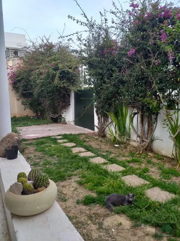 Villa plain pied à la Marsa