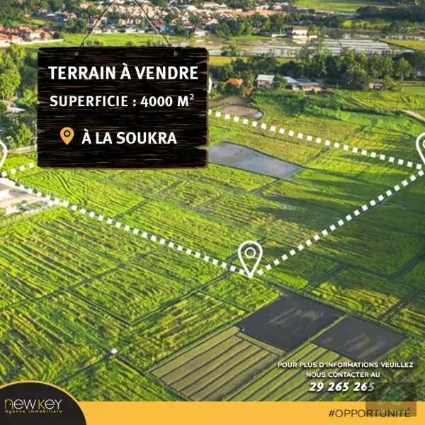 Un Terrain de 4000 m² à La Soukra