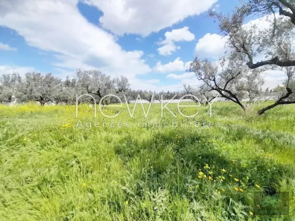Un rez-de-chaussée S2 avec jardin à La Soukra