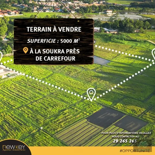Un Terrain de 5000 m² près de Carrefour à La Soukra