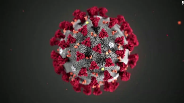 Coronavirus : Les agents immobiliers peuvent travailler à distance #Covid19