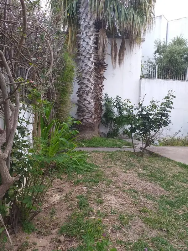 Villa plain pied à la Marsa - 1