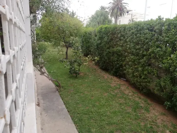 S 3 meublé à la Marsa - 4