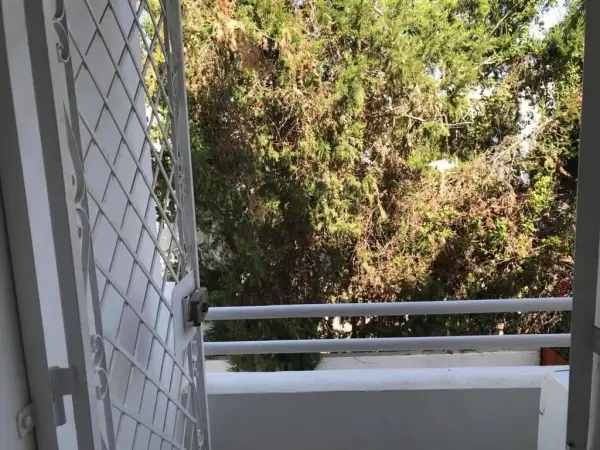 S 2 meublé à la Marsa - 3