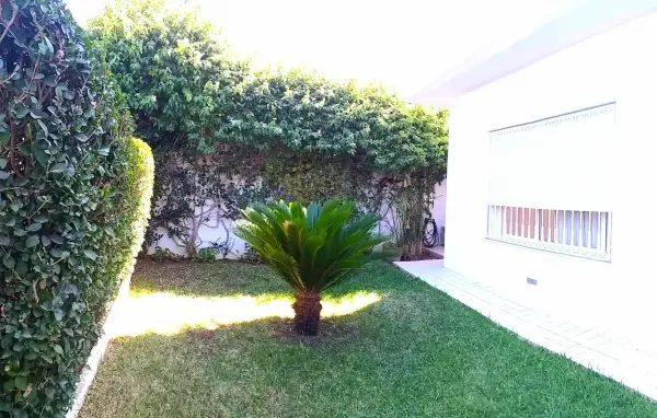 Duplex à la Marsa - 1