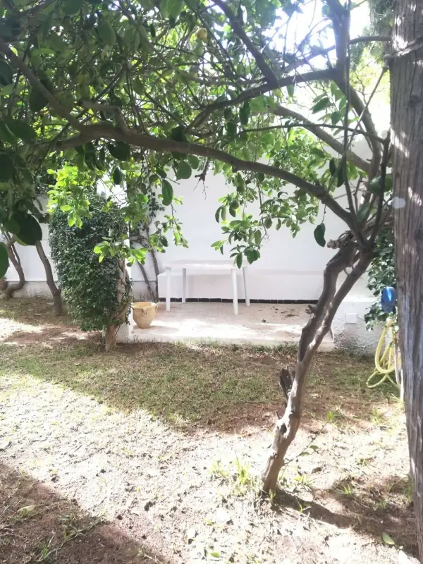 RDC de villa S 2 à la Marsa - 3