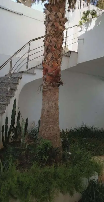 Appartement avec jardin - 9