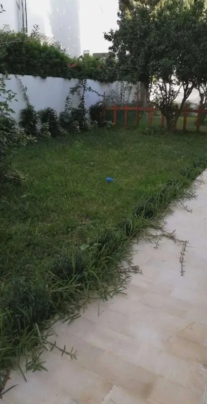 Appartement avec jardin - 8
