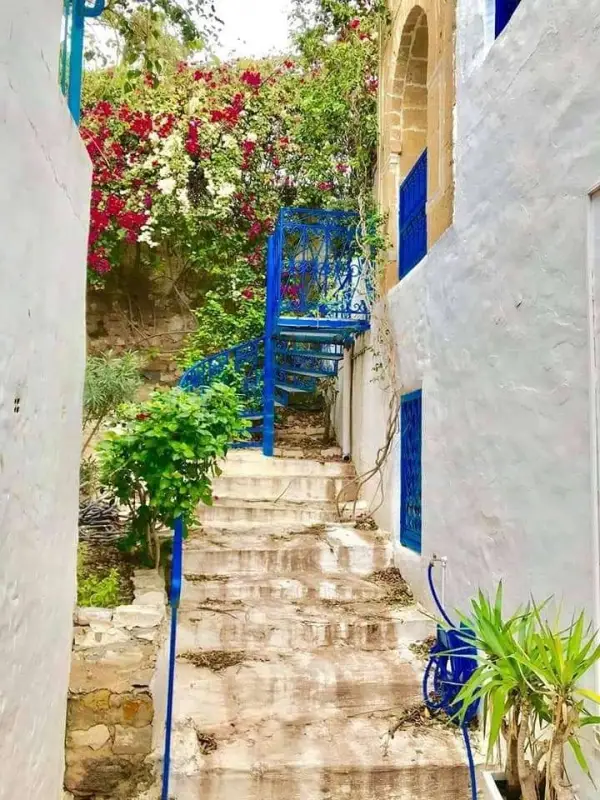 Magnifique villa à Sidi Bou Said - 6