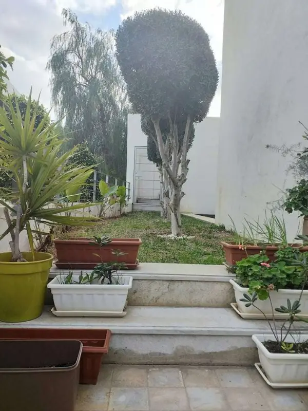 Magnifique villa à Gammarth - 7