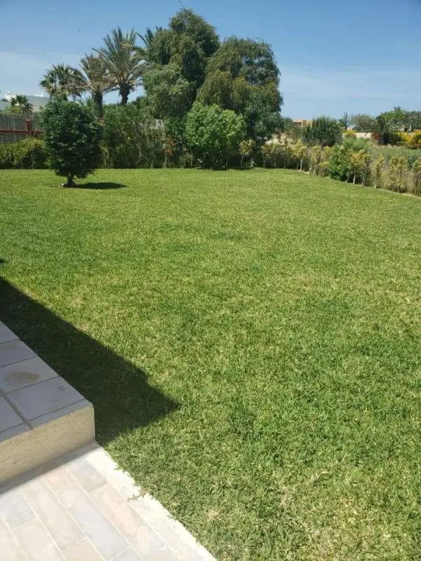 Magnifique villa à Gammarth - 1