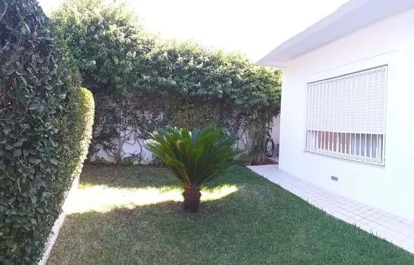 Magnifique duplex à la Marsa - 1