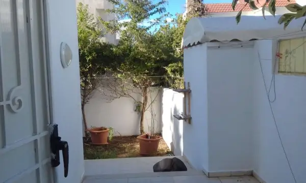 Appartement S 3 RDC avec jardin - 8