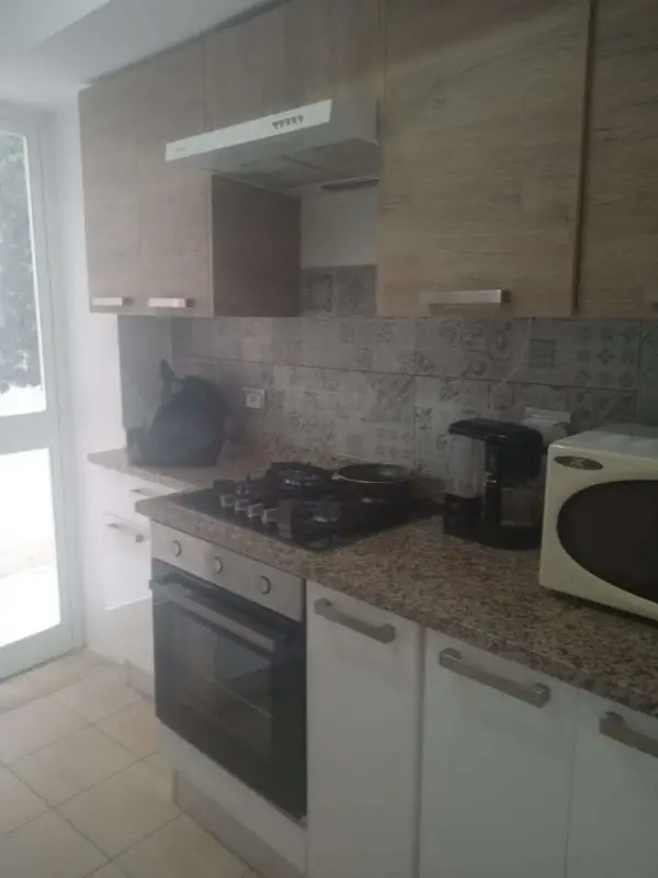 Coquet appartement S 2 meublé à la Marsa - 6