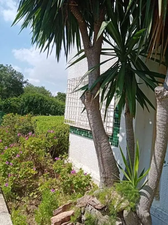 Villa avec jardin à Gammarth - 10