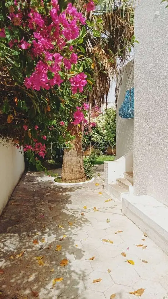 Villa S 3 à Gammarth - 9