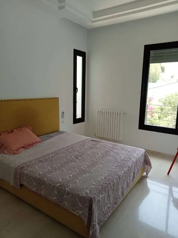 magnifique duplex à la marsa - 3