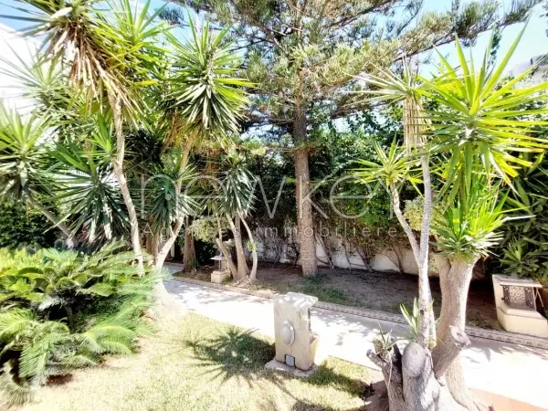 Magnifique villa à la Marsa - 10