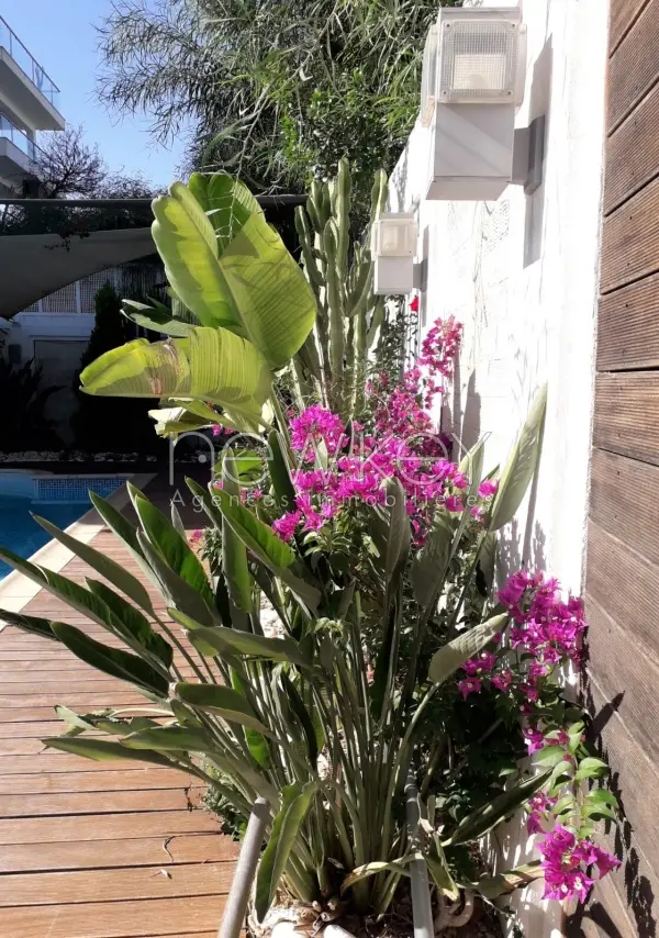 Magnifique rez-de-chaussée S+3 meublé - 21