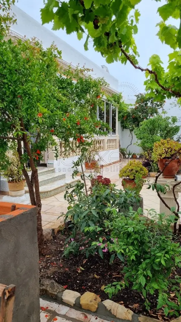 Villa plein pied à la Marsa - 3