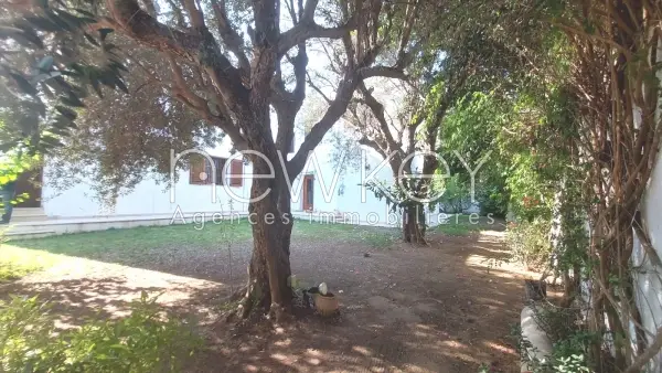 Une belle villa s+6 à la Marsa - 1