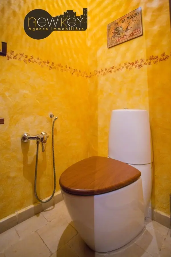 Unique villa style rustique - 7