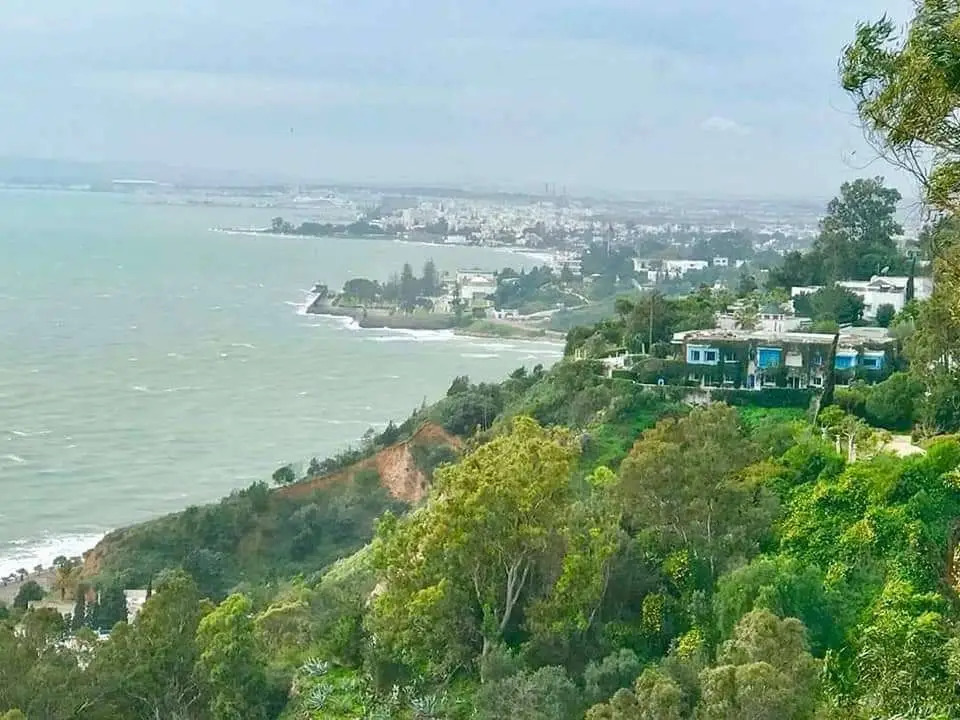 Magnifique villa à Sidi Bou Said