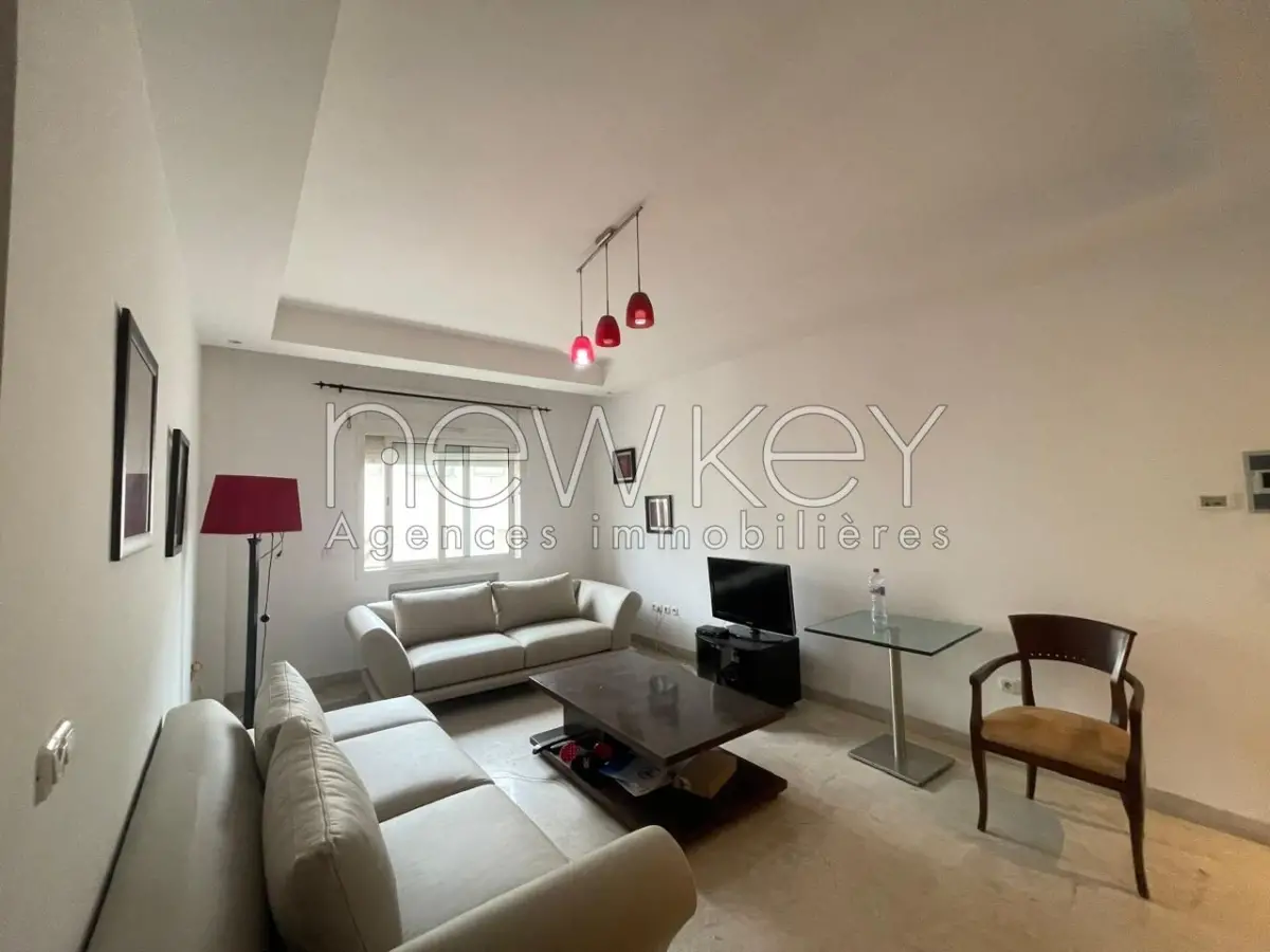 Appartement s1 meublé à louer au Lac 2