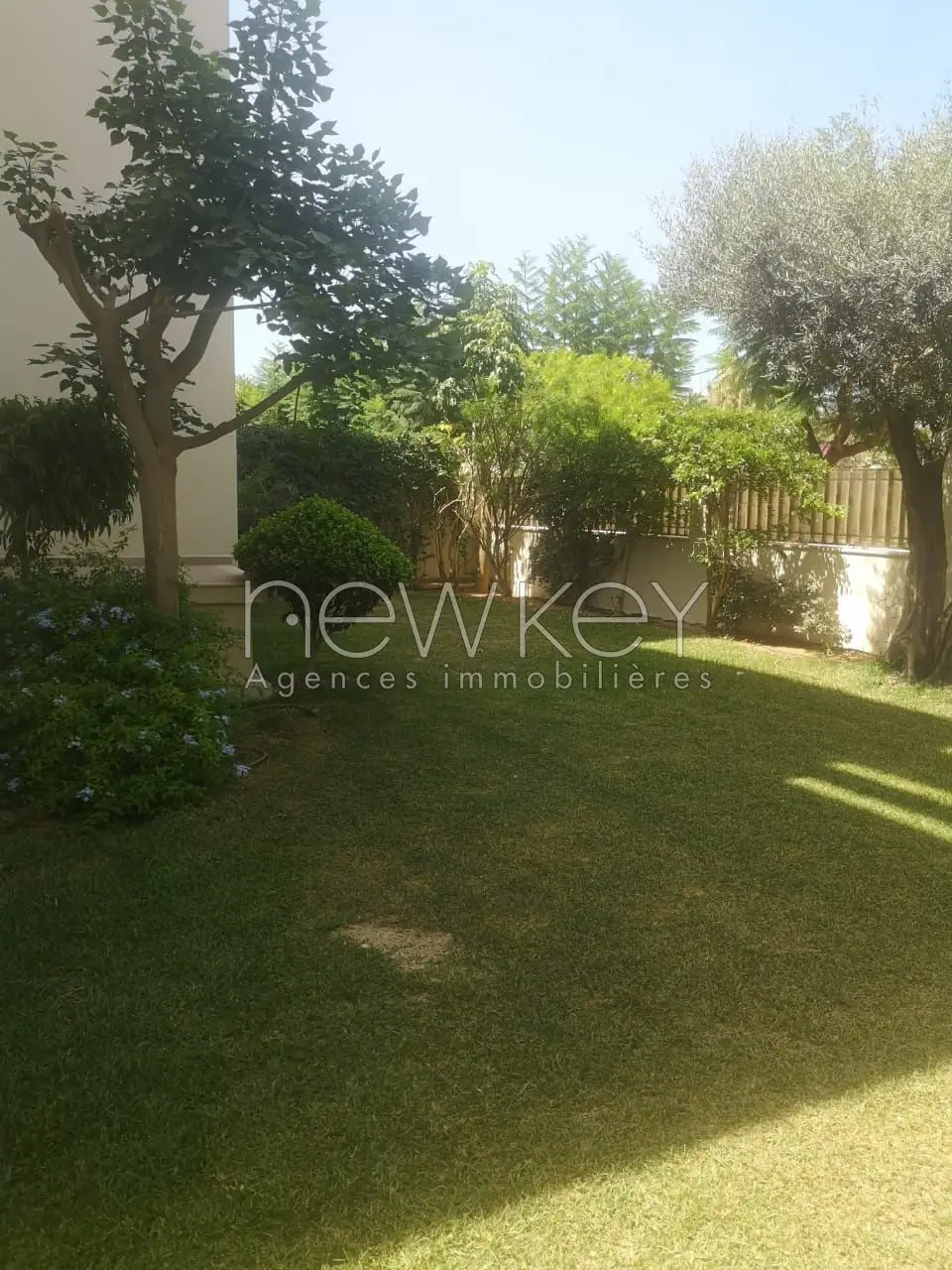 magnifique appartement S+3 à La Marsa