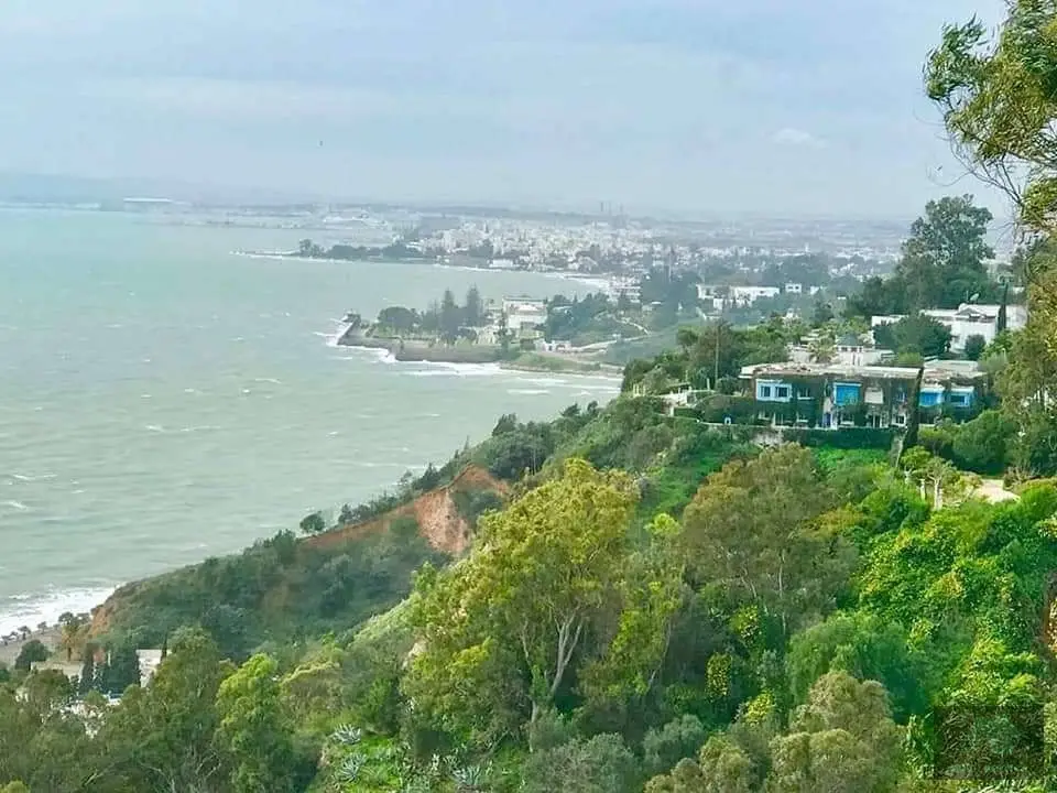 Magnifique villa à Sidi Bou Said