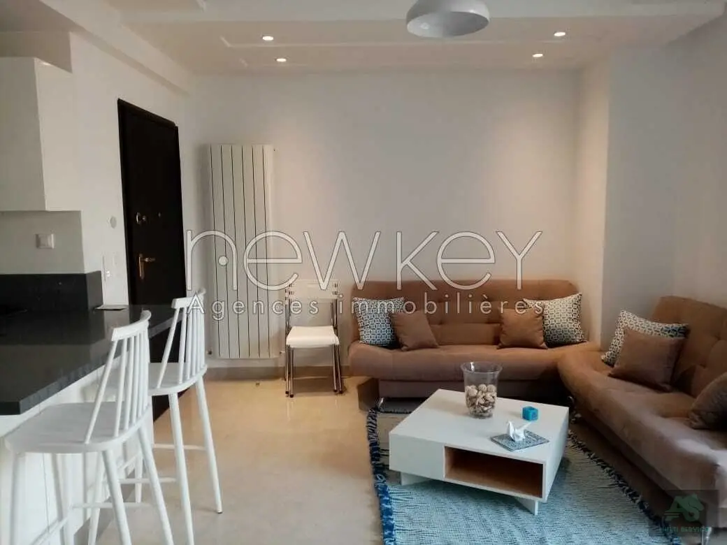 Appartement S1 meublé à louer au lac 2