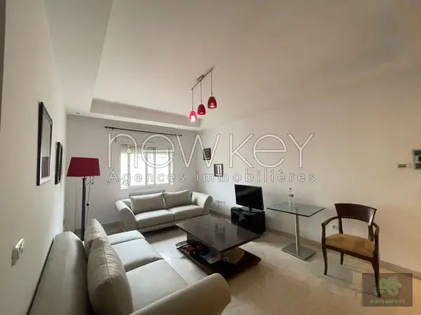 Appartement s1 meublé à louer au Lac 2